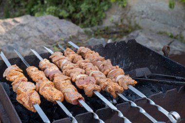 Şişte marine edilmiş taze kebap eti. Izgarada kızarmaya hazır..