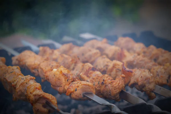 Shish kebab rôti sur le gril. Une soirée barbecue. Gros plan — Photo