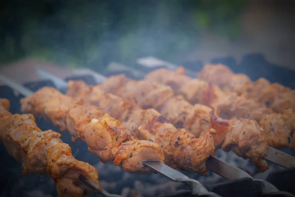 고기 국물을 우묵 하게 굽는다. BBQ 파티. 클로즈업 — 스톡 사진