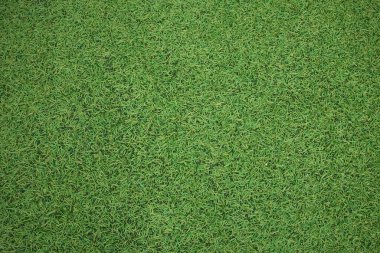 Bir spor stadyumundaki yeşil yapay çimlerin arka planı.