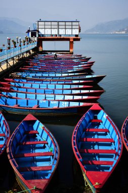 Mavi deniz araçları sakin bir şekilde hala bir gölde yüzmek.