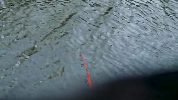 Fait venir sous le reste de la pêche dans les maisons de roseaux — Video