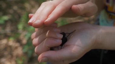 kız küçük pinekon ile bir palmiye dal üzerinde tutar
