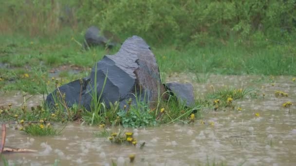 Basalt pilaren in de regen — Stockvideo