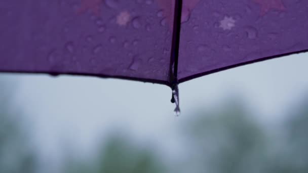 Water drops on an umbrella — Stock Video