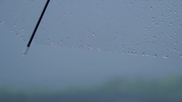 Air jatuh di atas payung. — Stok Video