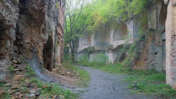 Old brick ruins — Stock Video