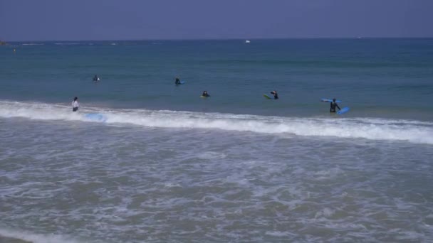 En grupp surfare sitter i vattnet — Stockvideo