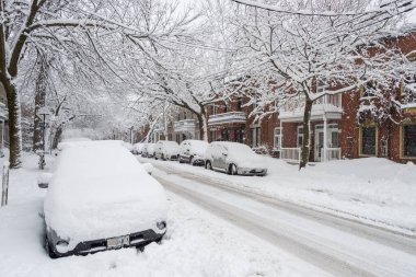 Montreal, Kanada - 16 Mart 2017: Kar fırtınasından sonra Mont-Royal Bulvarı