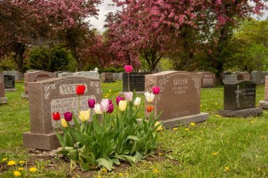 Montreal, CA - 30 Mayıs 2019: İlkbaharda Montreal mezarlığında mezar taşları