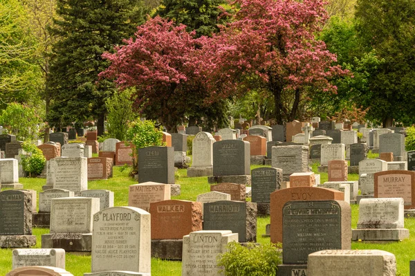 Montreal Maio 2019 Headstones Cemitério Montreal Primavera — Fotografia de Stock