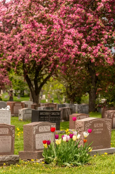 Montreal Maja 2019 Nagrobki Cmentarzu Montrealu Wiosną — Zdjęcie stockowe