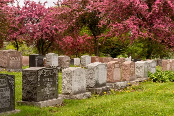 Montreal Maggio 2019 Lapidi Nel Cimitero Montreal Primavera — Foto Stock