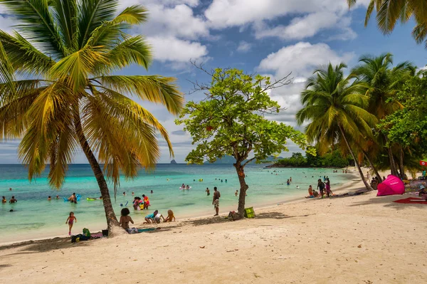 Anse Figuier Μαρτινίκα Γαλλία Αυγούστου 2019 Anse Figuier Tropical Beach — Φωτογραφία Αρχείου