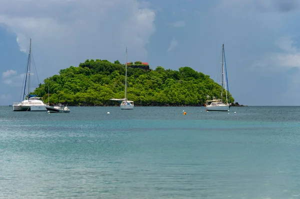 Anse Ane Μαρτινίκα Αυγούστου 2019 Αφήστε Τους Ramiers Κοντά Στο — Φωτογραφία Αρχείου