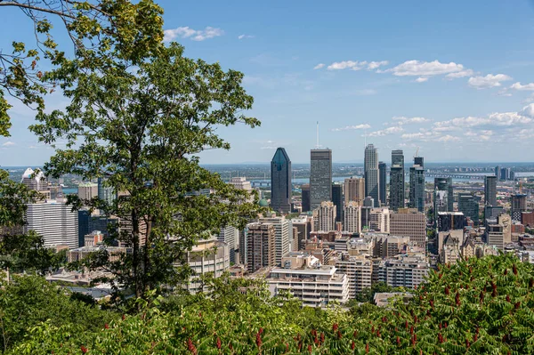 Montreal Agosto 2019 Horizonte Montreal Desde Mont Royal Mountain Verano —  Fotos de Stock