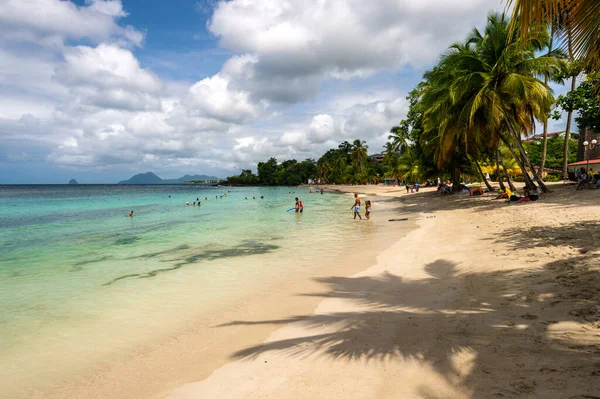 Anse Figuier Martinica França Agosto 2019 Anse Figuier Praia Tropical — Fotografia de Stock