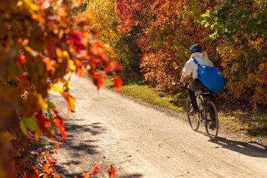 Montreal, CA - 10 Ekim 2019 Bisikletçi Sonbaharda Des Carrieres bisiklet yolunda bisiklet sürüyor.
