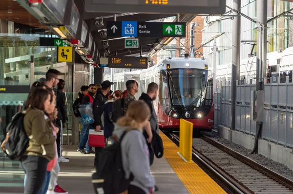 Ottawa Octubre 2019 Transpo Tren Que Llega Estación Uottawa — Foto de Stock