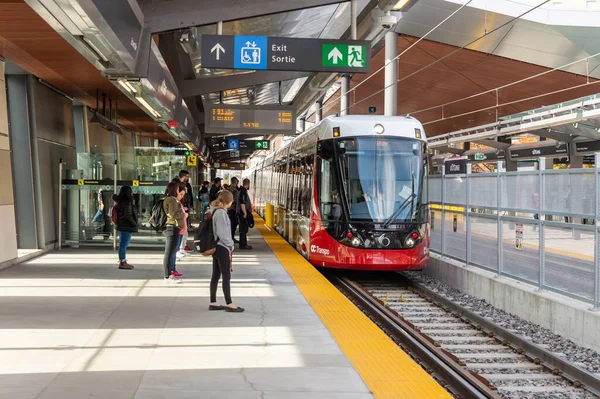 Ottawa Octubre 2019 Transpo Tren Que Llega Estación Uottawa — Foto de Stock