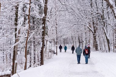 Montreal, CA - 01 Ocak 2020: İnsanlar kar fırtınası sonrasında Montreal 'in Mount Royal Park' ında (Parc Du Mont-Royal) karlı bir yolda yürüyorlar.
