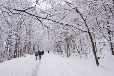 Montreal, CA - 01 Ocak 2020: İnsanlar kar fırtınası sonrasında Montreal 'in Mount Royal Park' ında (Parc Du Mont-Royal) karlı bir yolda yürüyorlar.