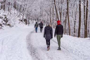 Montreal, CA - 01 Ocak 2020: İnsanlar kar fırtınası sonrasında Montreal 'in Mount Royal Park' ında (Parc Du Mont-Royal) karlı bir yolda yürüyorlar.