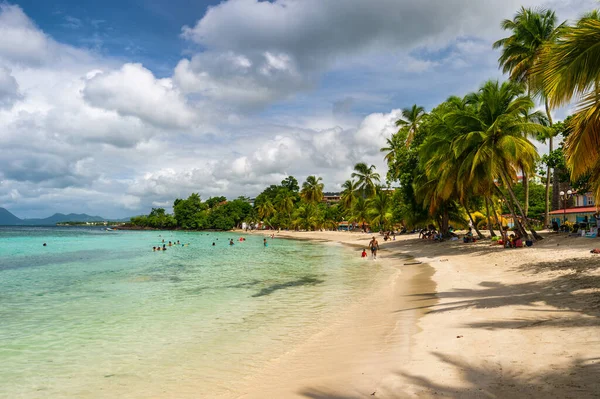 Anse Figuier Martinica França Agosto 2019 Anse Figuier Praia Tropical — Fotografia de Stock