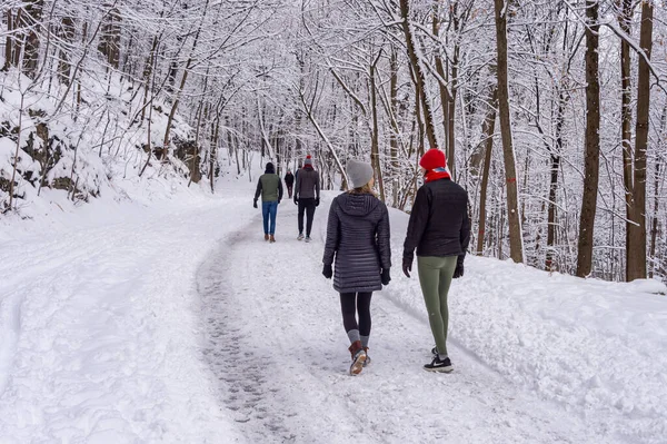 Montreal January 2020 People Walking Snowy Trail Montreal Mount Royal — Stock Photo, Image