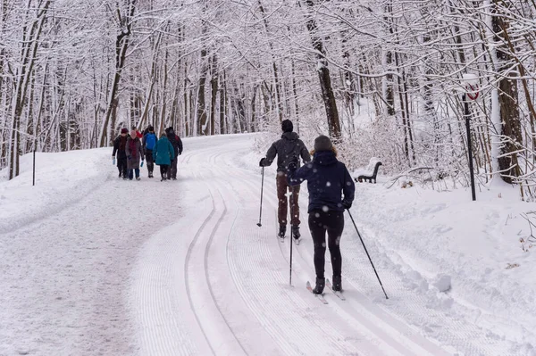 Montreal Leden 2020 Lidé Chodí Nebo Lyžují Zasněžené Stezce Montrealu — Stock fotografie