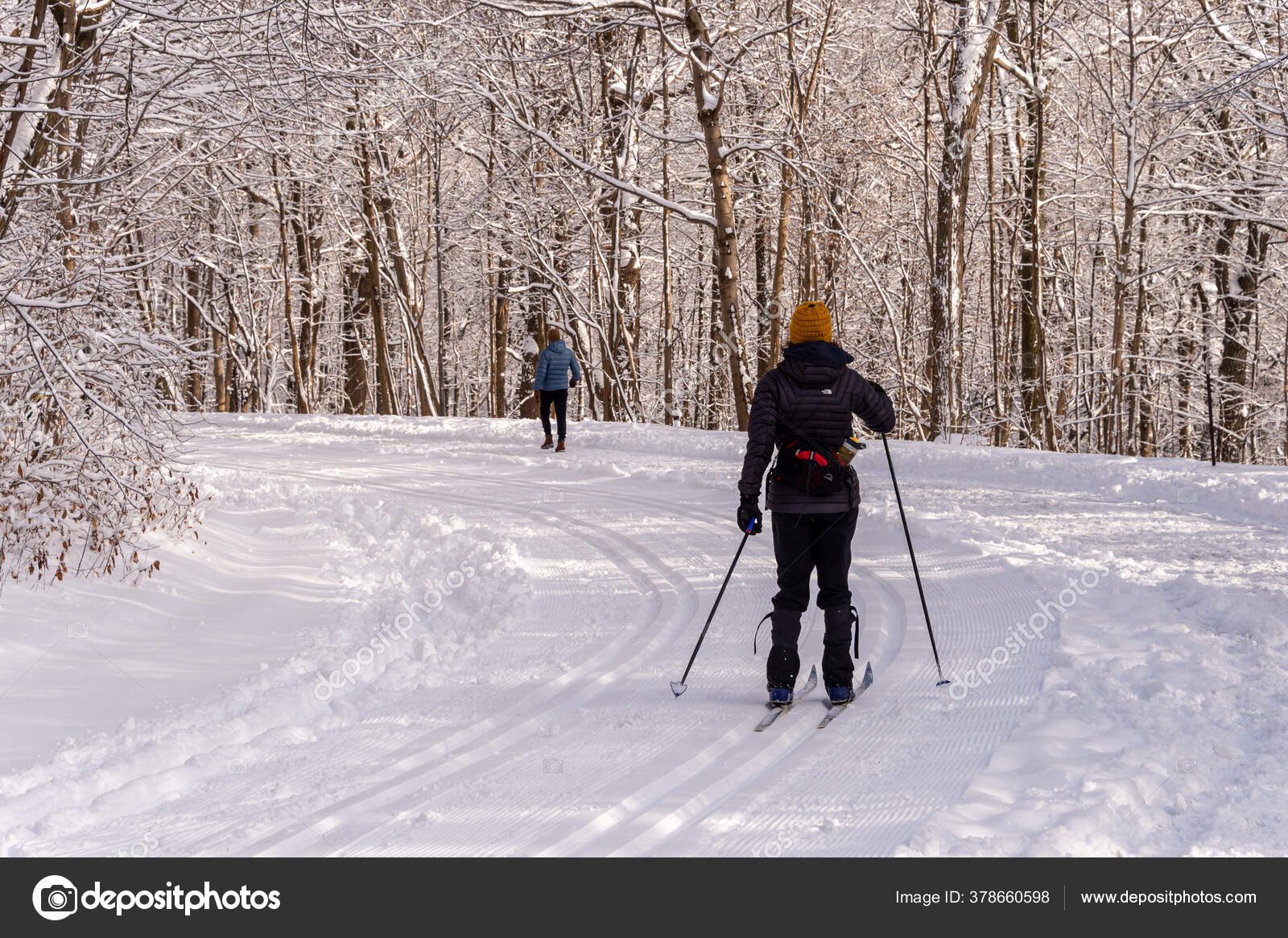 Montreal January 2020 People Walking Skiing Snowy Trail Montreal's
