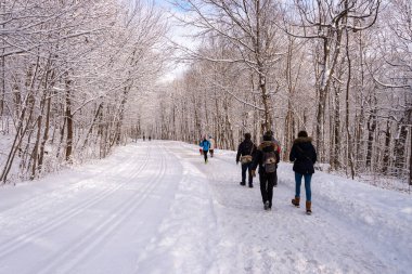Montreal, CA - 01 Ocak 2020: İnsanlar kar fırtınası sonrasında Montreal 'in Mount Royal Park' ında (Parc Du Mont-Royal) karlı bir yolda yürüyorlar.