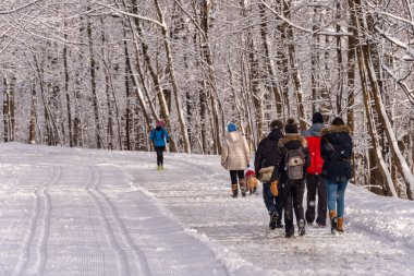 Montreal, CA - 01 Ocak 2020: İnsanlar kar fırtınası sonrasında Montreal 'in Mount Royal Park' ında (Parc Du Mont-Royal) karlı bir yolda yürüyorlar.
