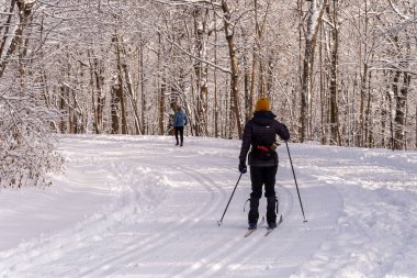 Montreal, CA - 01 Ocak 2020: Kar fırtınası sonrasında Montreal 'deki Mount Royal Park' ta (Parc Du Mont-Royal) insanlar yürüyüş veya kayak yapıyorlar.