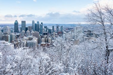 Montreal, CA - 01 Ocak 2020: Kondiaronk Belvedere 'den Montreal Skyline