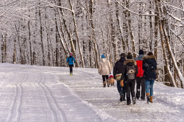 Montreal January 2020 People Walking Snowy Trail Montreal Mount Royal — Stock Photo, Image