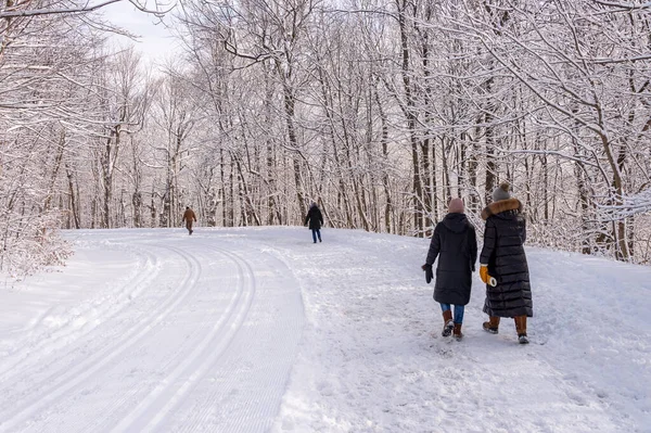 Montreal January 2020 People Walking Snowy Trail Montreal Mount Royal — Stock Photo, Image