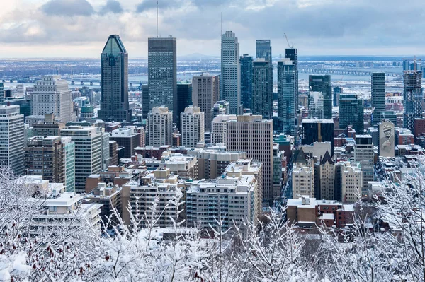 Montreal January 2020 Montreal Skyline Kondiaronk Belvedere — стокове фото