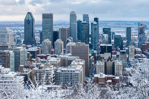 Montreal January 2020 Montreal Skyline Kondiaronk Belvedere — стокове фото