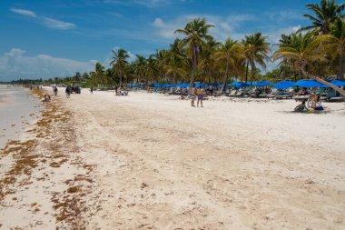 Tulum, Meksika - 12 Ağustos 2018: Tulum yakınlarındaki Playa Paraiso plajı.