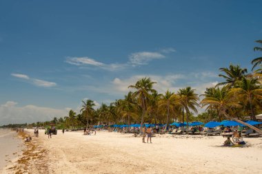 Tulum, Meksika - 12 Ağustos 2018: Tulum yakınlarındaki Playa Paraiso plajı.