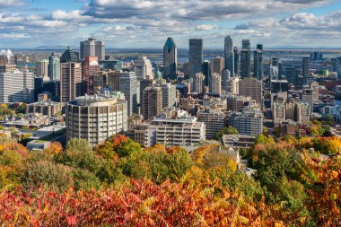 Montreal, Kanada - 12 Ekim 2018: Mont Royal Kondiaronk Belvedere 'den sonbahar renkleriyle Montreal Skyline