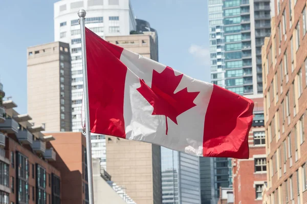 Toronto Junio 2017 Bandera Canadiense Frente Rascacielos —  Fotos de Stock