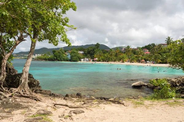 Anse Figuier Μαρτινίκα Γαλλία Ιουλίου 2017 Anse Figuier Tropical Beach — Φωτογραφία Αρχείου