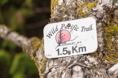 Ucluelet, British Columbia, Kanada - 10 Eylül 2017: Wild Pacific Trail tabelası