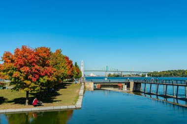 Montreal, CA - 4 Ekim 2016: Montreal Saat Kulesi ve Jacques Cartier Köprüsü
