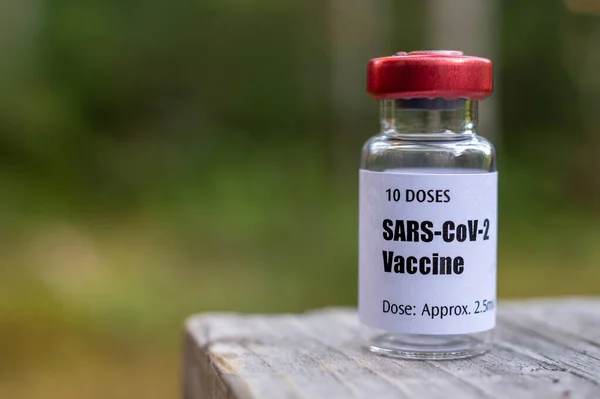 Flacon Vaccin Contre Coronavirus Covid Sur Fond Nature — Photo