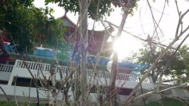 Bir ağaç dalı arkadan sabah güneş tarafından aydınlatılmış olduğunu. Mercek parlaması kamera hareketi ağaç dalları etrafında oluşturulur. Geleneksel Çince Budist tapınağı arka planda görülür.