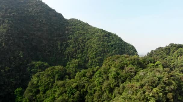 Tiro aéreo de uma bela colina calcária não exposta em Ipoh — Vídeo de Stock