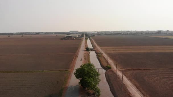 A barren rice field — Stock Video